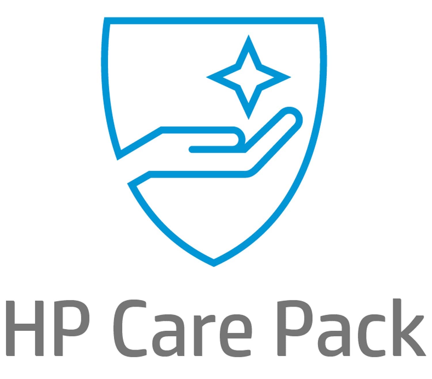 HP 1y 3 Days Onsite Notebook Service