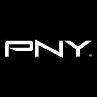 PNY PNY SSD CS900 SATA 2.5 1TB SATA-III (6 Gb/s) 5567994